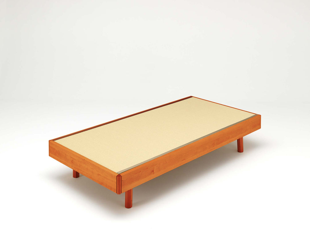 atari_05P_ontoko_N_tatami_0055