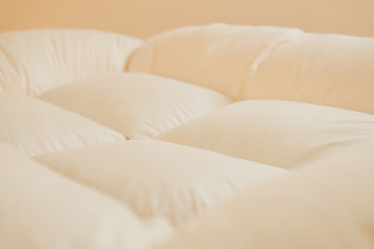 ベッド関連 人類進化ベッド – 寝具のイワタ