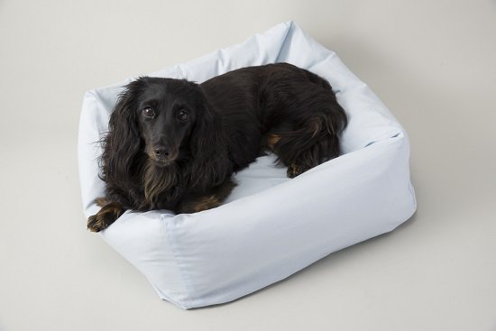 Pet bed (with special cover)